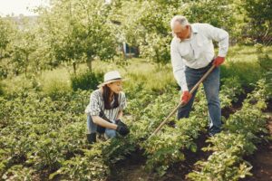 10 benefits of gardening tending