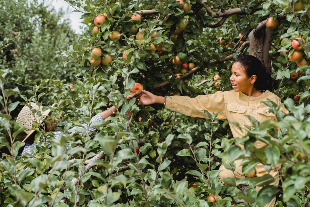 10 benefits of gardening stress